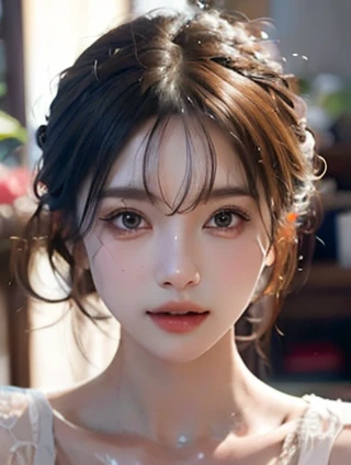 古典浪漫与成人教育：在知识的海洋中寻找心灵的港湾