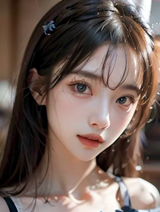 历史的脉络：从过去到未来——历史考察与学员跟踪服务的交织